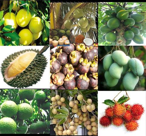 U S Department of Agriculture concludes first trade mission to Vietnam